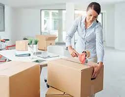 Domestic services image-4