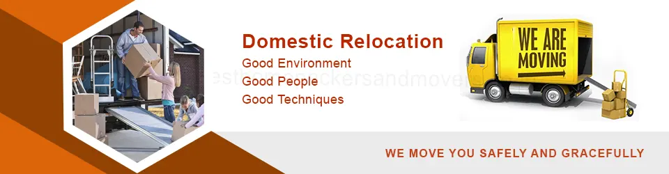 Domestic Relocation service